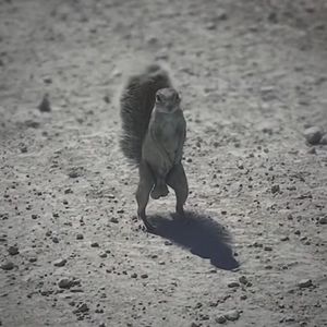 Meet your Posher, Jesse